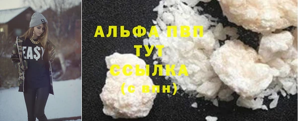 стафф Ельня