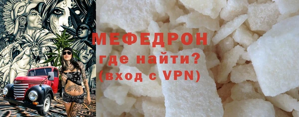 индика Елабуга