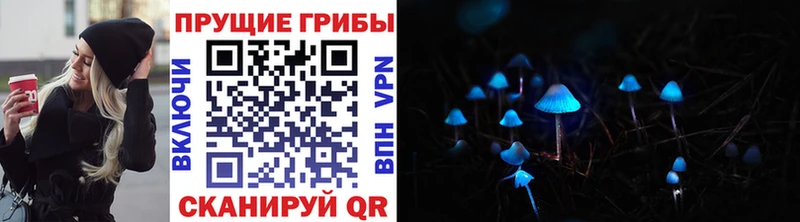 Галлюциногенные грибы ЛСД  Курганинск 