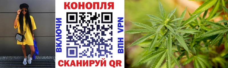 МАРИХУАНА тримм где продают Курганинск